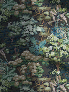 Canopy 02