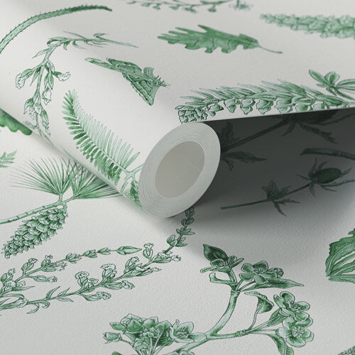 Forest 01