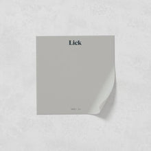 Load image into Gallery viewer, Grey 11