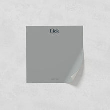 Load image into Gallery viewer, Grey 06
