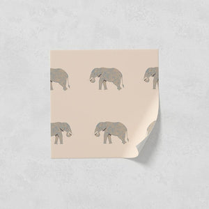 Animal 02
