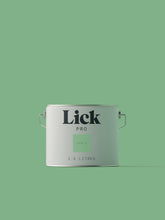 Load image into Gallery viewer, Green 16