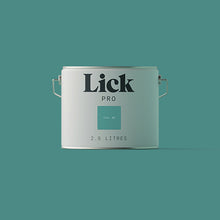 Load image into Gallery viewer, Teal 06