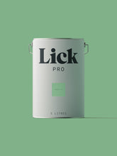 Load image into Gallery viewer, Green 16