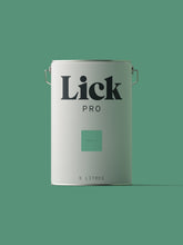 Load image into Gallery viewer, Green 17