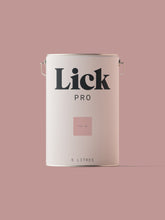 Load image into Gallery viewer, Pink 09