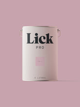 Load image into Gallery viewer, Pink 11