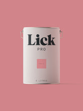 Load image into Gallery viewer, Pink 12